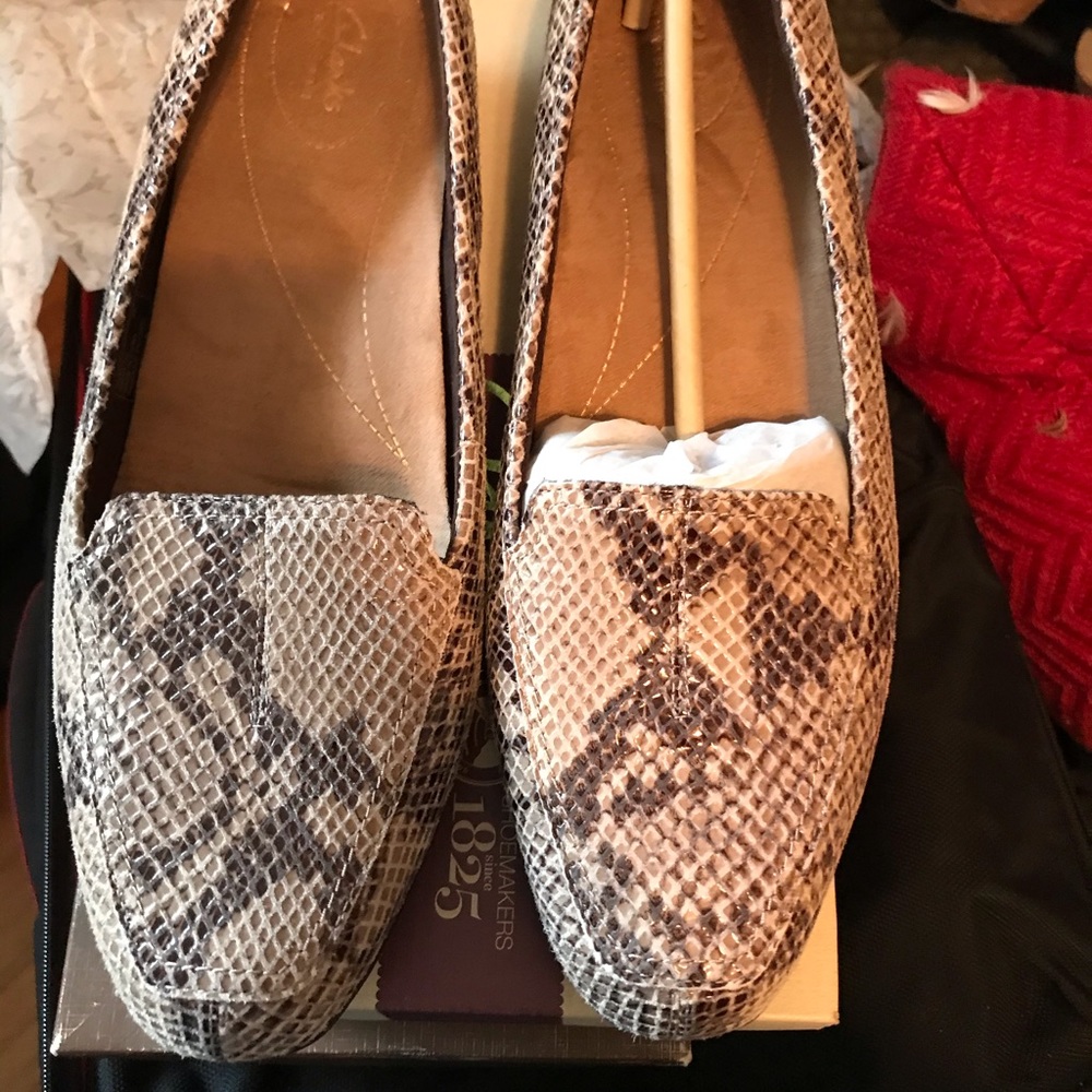 Shoes - Picture 5 of 16